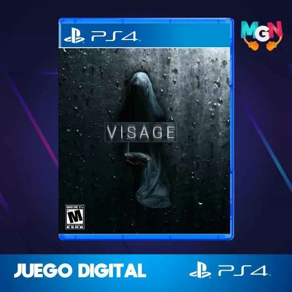 VISAGE